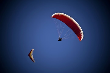 parachute glider in the sky