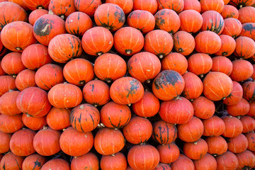 Pumpkins stacked