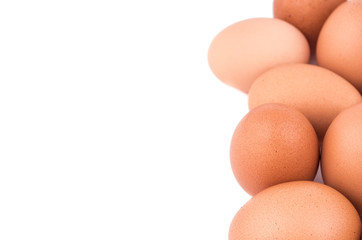 eggs on a white background