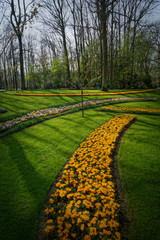 Keukenhof