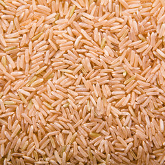 Brown Rice close-up
