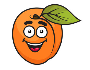 Colorful orange apricot fruit