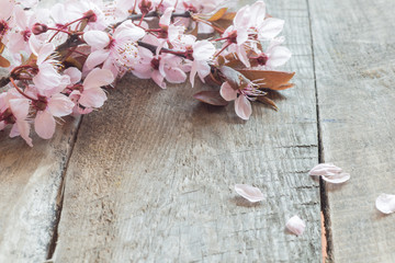 Spring blossom on wood background 