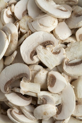 background from many mushroom sliced