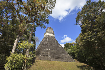 Fototapeta na wymiar Piramidy Majów w Tikal, Gwatemala