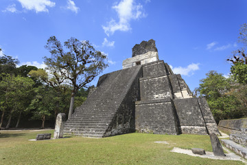 Fototapeta na wymiar Piramidy Majów w Tikal, Gwatemala
