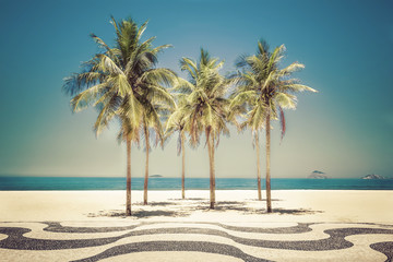 Palms on Copacabana Beach in Rio de Janeiro