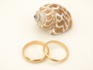 alliance mariage coquillage