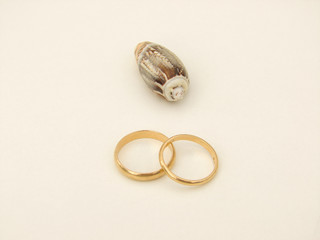 alliance mariage coquillage