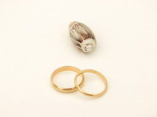 alliance mariage coquillage