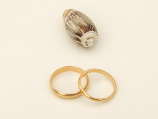 alliance mariage coquillage