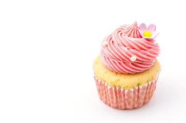 Vanilla cupcakes isolated white background
