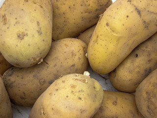 pomme de terre frite