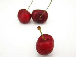 cerise fruit