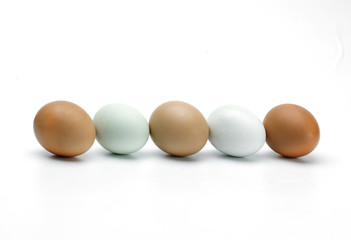 Line of eggs