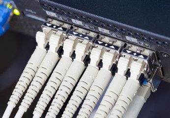 Optic fiber and SFP connected to switch