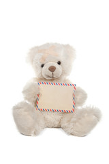 Fluffy white teddy bear with a card on white