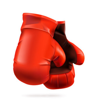 Red boxing gloves, detailed vector illustration