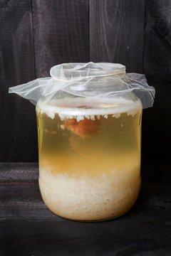 Water Kefir