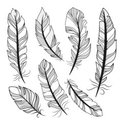 vector silhouettes feathers