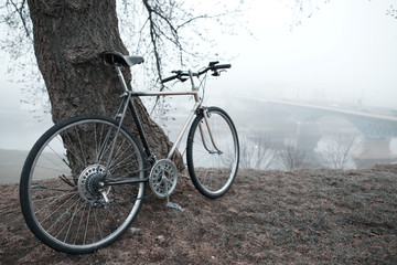 Fototapeta na wymiar old bike near the tree