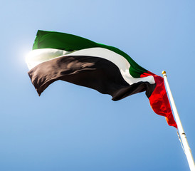Obraz premium United Arab Emirates flag