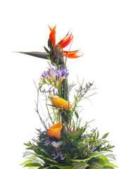 red yellow flower bunch,isolated