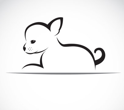 Vector image of an chihuahua puppies