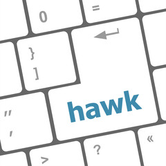 hawk word on computer pc keyboard key
