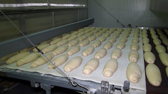 Bread moving on conveyor, ready for baking in bakery, timelapse