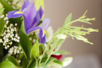 bouquet of flowers