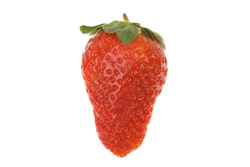 Big ripe strawberry