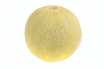 Single ripe melon