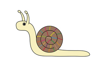 Snail. Vector illustration