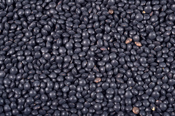 Black raw lentil background
