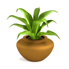 Fototapeta na wymiar realistic 3d render of plant