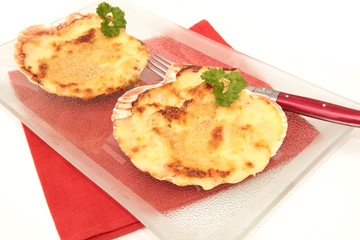 coquille saint-jacques