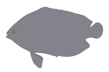 cartoon image of tropical fish