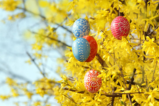 Sorbische Ostereier im Forsythiastrauch