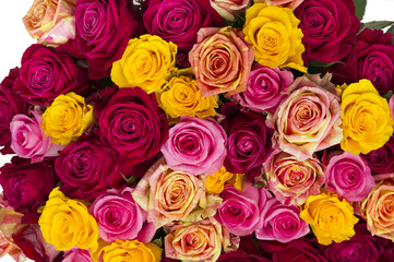Multicolored roses