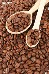 Coffee beans close-up