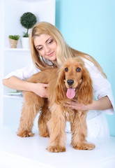 Beautiful young female veterinarian examining dog in clinic
