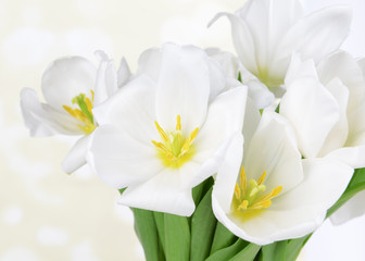 Fototapeta na wymiar Beautiful bouquet of white tulips on table on light background