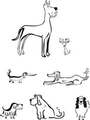 Set of funny dogs