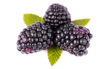 blackberries