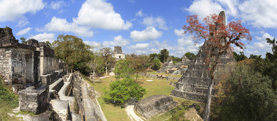 Mayan pyramid in Tikal, Guatemala