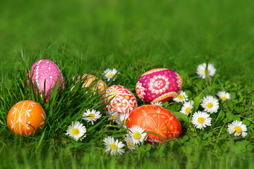 Bunte Ostereier auf der Wiese