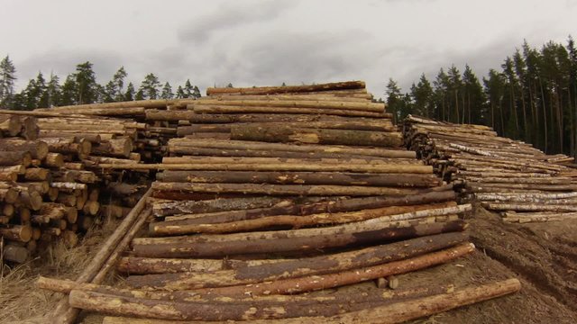 Raw Wood Storage, air view