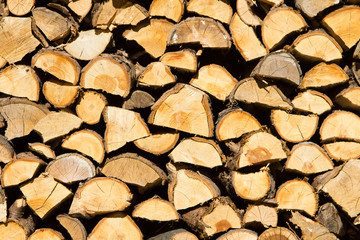 Firewood