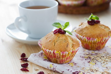 Muffins with cranberries and oatmeal
